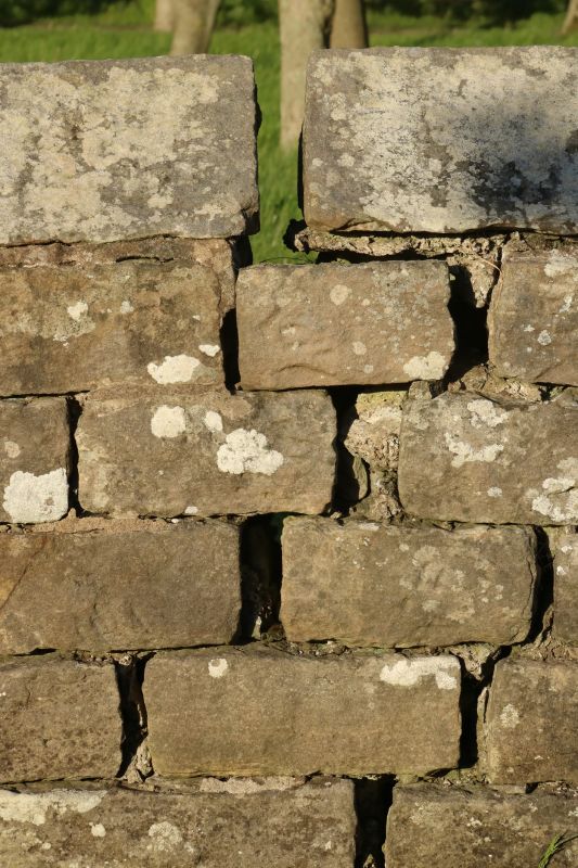 Stone Wall Repair in New Haven County, CT